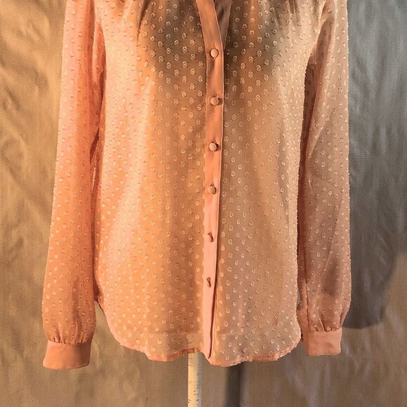 Ann Taylor Shear Pink Textured Button Down Long Sleeve Blouse XS - Picture 2 of 11